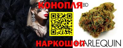 spice Новозыбков