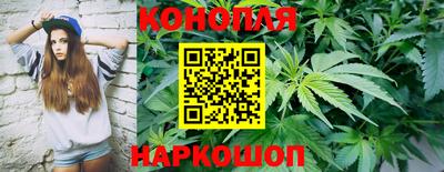 молекула духа Новокубанск