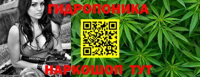 стафф Нарткала