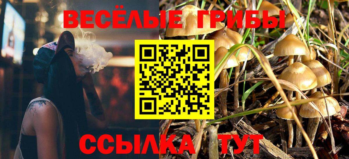 Галлюциногенные грибы ЛСД Симферополь
